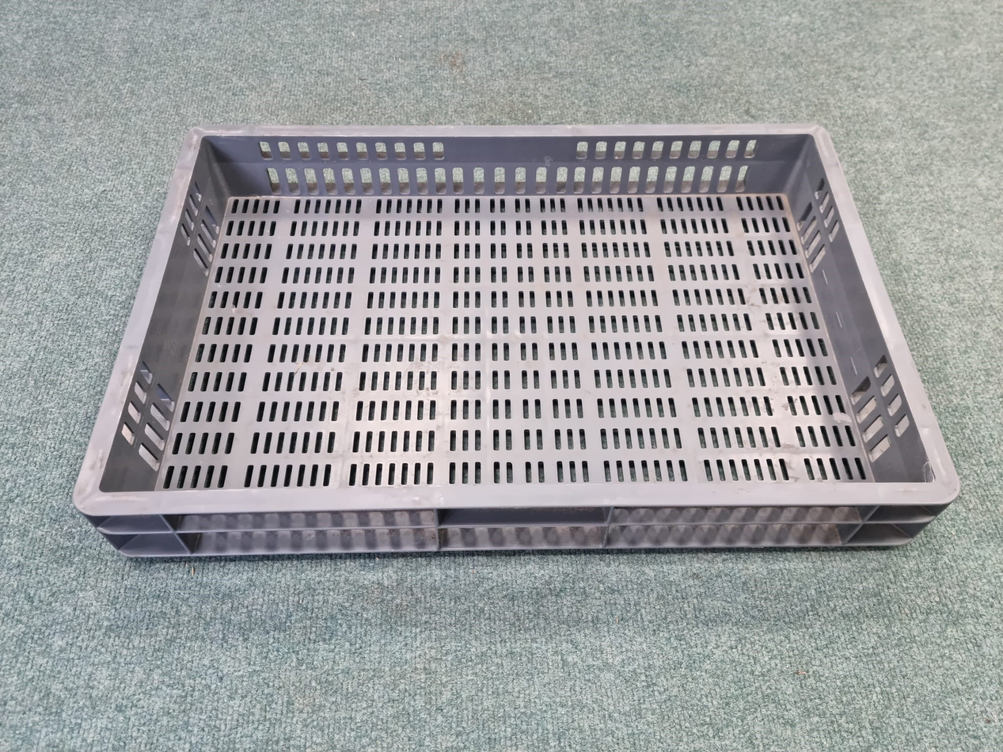 Stacking Container Perforated (600 x 400 x 80mm) (Used)
